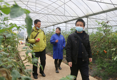 實地走訪調(diào)研助力脫貧成效鞏固——以農(nóng)產(chǎn)品種植為例
